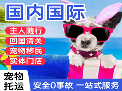 莫力达瓦旗航空快递国际宠物托运 【国